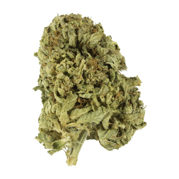 Strawberry Romulan | Herbarium Canada