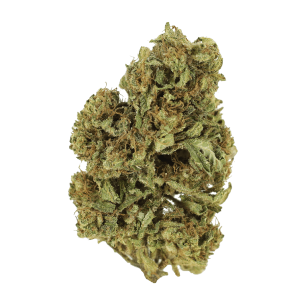 Cherry Wine (CBD) | Herbarium Canada