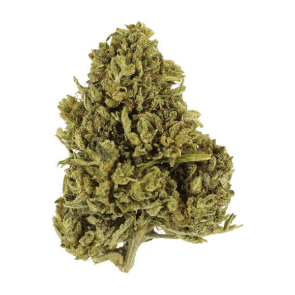 Cherry Wine (CBD) | Herbarium Canada