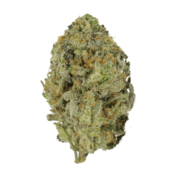 Skywalker OG | Herbarium Canada