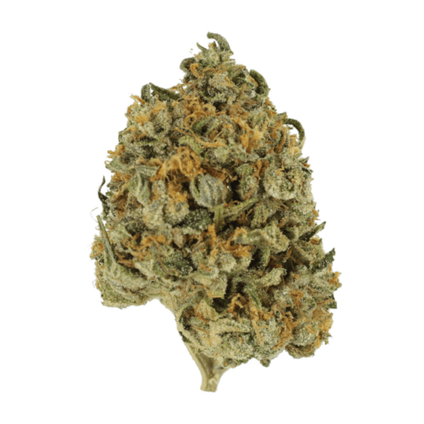 Banana Punch | Herbarium Canada