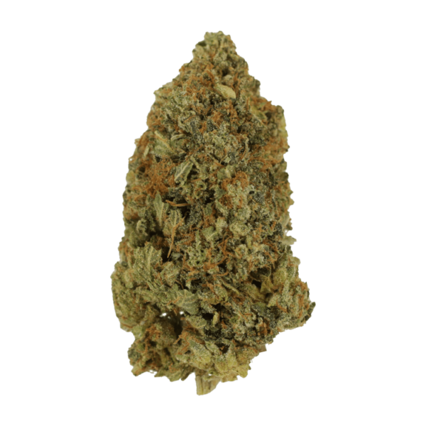 Rock Bubba | Herbarium Canada