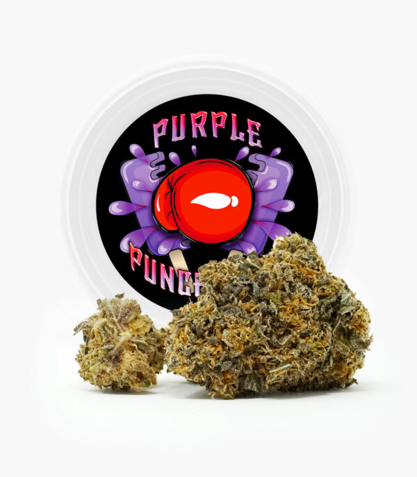 Westcoast Cali Tins – Premium Flower – Purple Punchsicle – 14g | Herbarium Canada