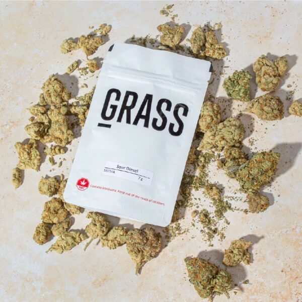 1/2OZ Sample Pack (AAA) – SAVE 20% | Herbarium Canada