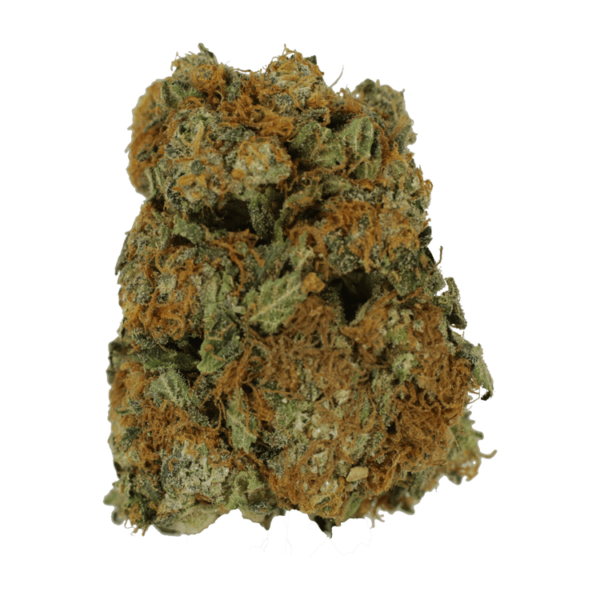 Sour Amnesia | Herbarium Canada