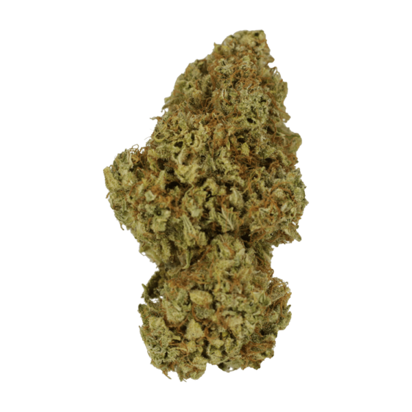 Sour Amnesia | Herbarium Canada