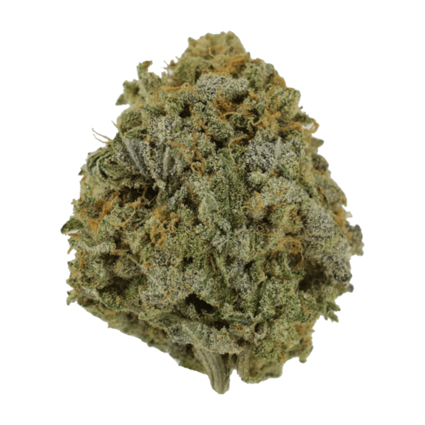 Pink Tuna (Popcorn) – $40/oz | Herbarium Canada