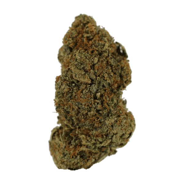 Donkey Butter | Herbarium Canada