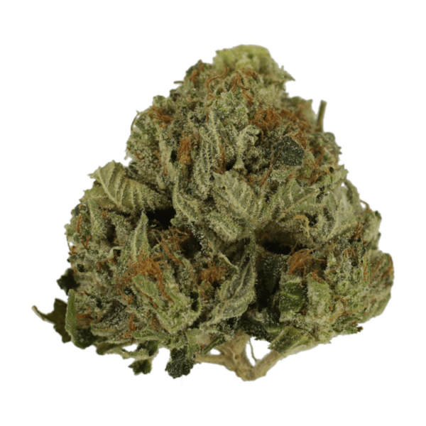 Pink Animal – 1 ounce | Herbarium Canada