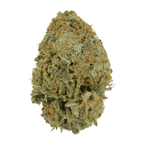 Pink Tuna (Popcorn) – $40/oz | Herbarium Canada