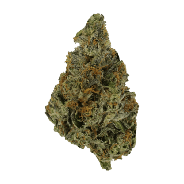 Pink Animal – 1 ounce | Herbarium Canada