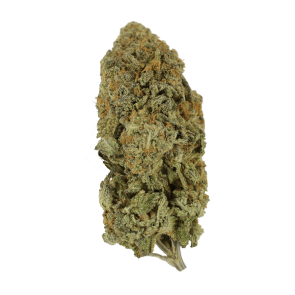 Captain Crunch | Herbarium Canada