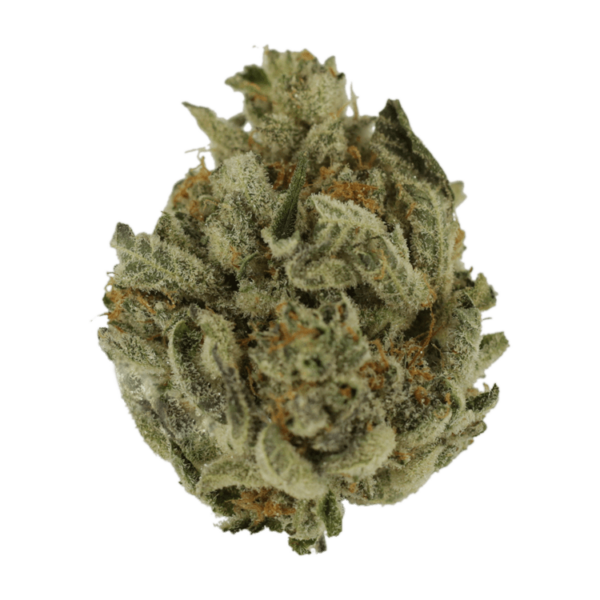 Biscotti Sundae | Herbarium Canada