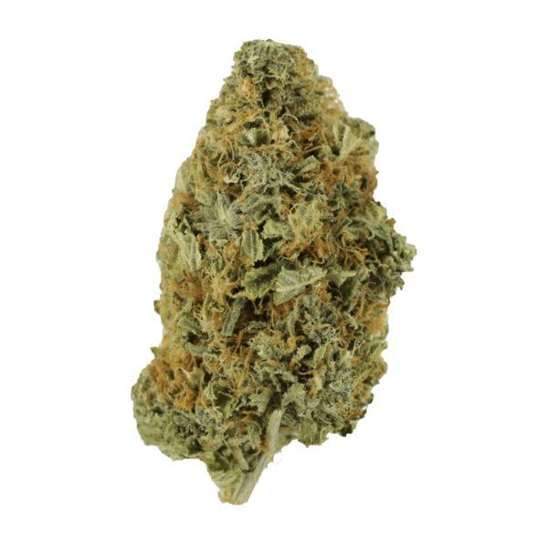 Purple Tuna – 1 ounce | Herbarium Canada