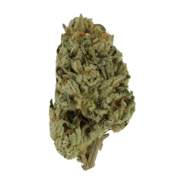 Biscotti Sundae | Herbarium Canada