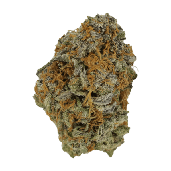 Incredible Hulk | Herbarium Canada