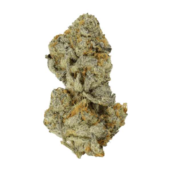 Bison Breath | Herbarium Canada