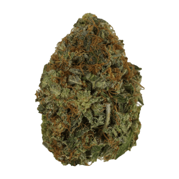 Orange Romulan | Herbarium Canada