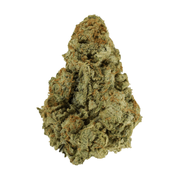 Sour Pebbles | Herbarium Canada