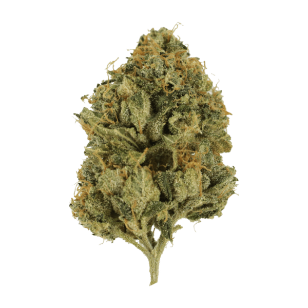 Fire OG | Herbarium Canada