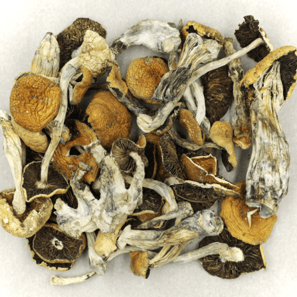 Puerto Rican | Herbarium Canada