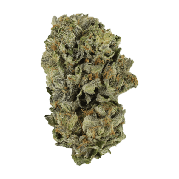 Cerebro Haze | Herbarium Canada