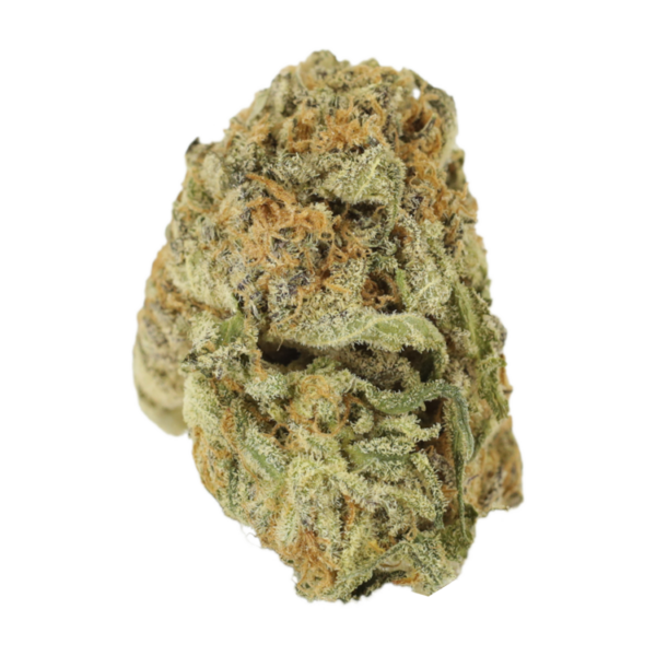 Mimosa Punch | Herbarium Canada