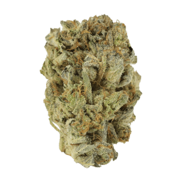 Mimosa Punch | Herbarium Canada