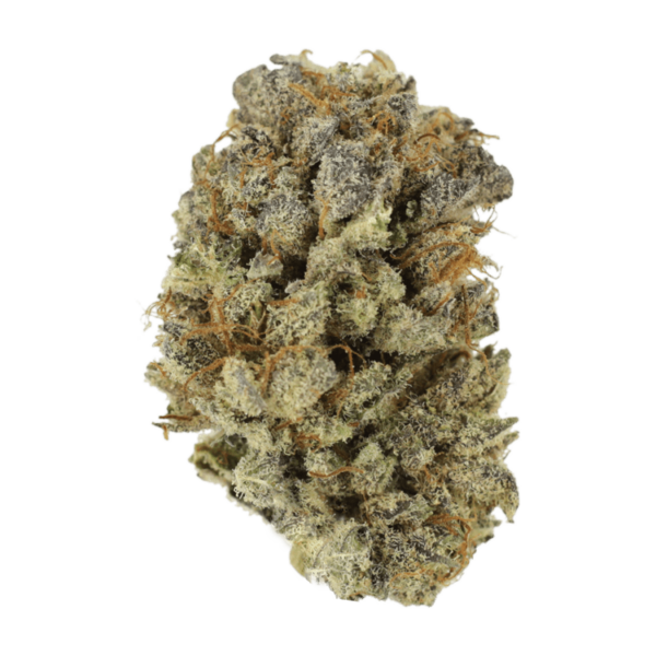 Mimosa Punch | Herbarium Canada