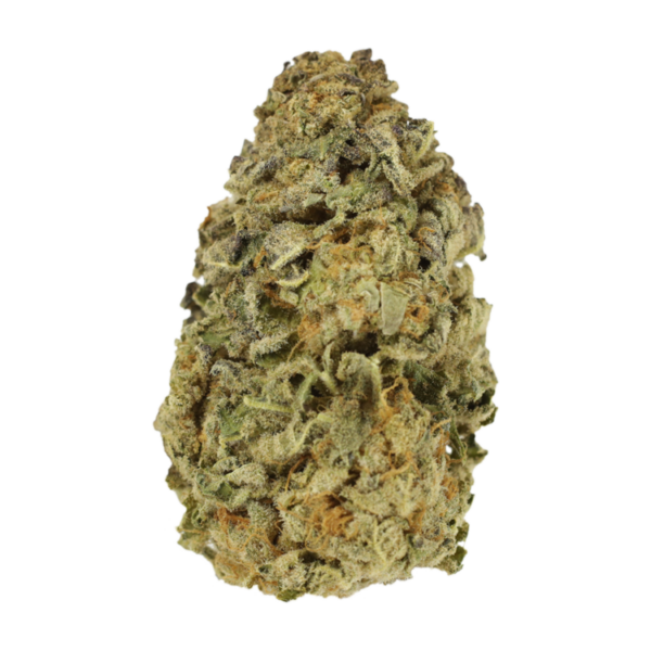 Mimosa Punch | Herbarium Canada
