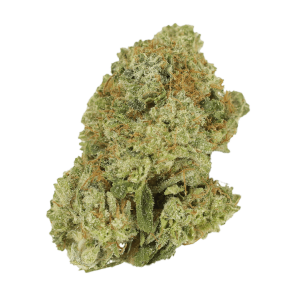 Green Lantern | Herbarium Canada