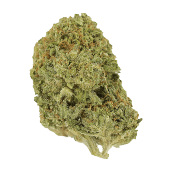 Mango Cream | Herbarium Canada