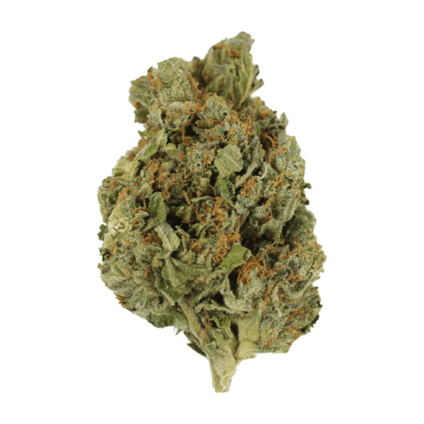 Mango Cream | Herbarium Canada