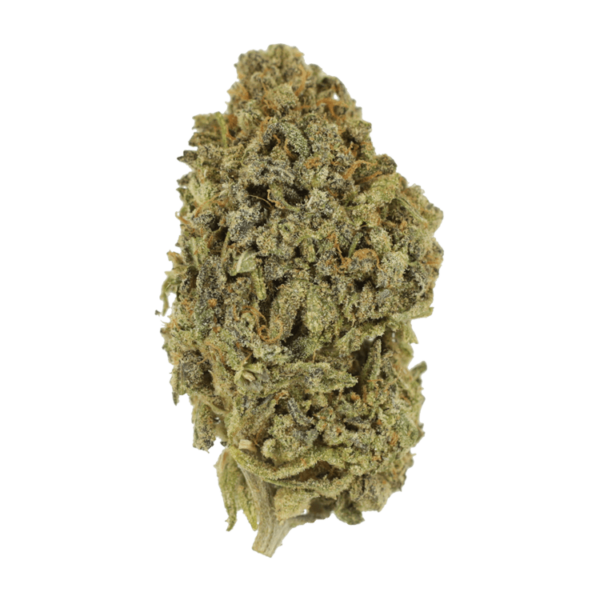 Watermelon Gelato | Herbarium Canada