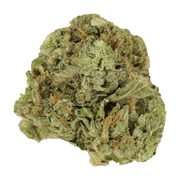 Mango Cream | Herbarium Canada