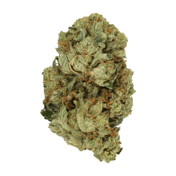 Pink Starburst | Herbarium Canada