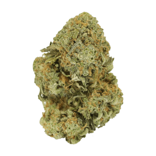 Watermelon Gelato | Herbarium Canada