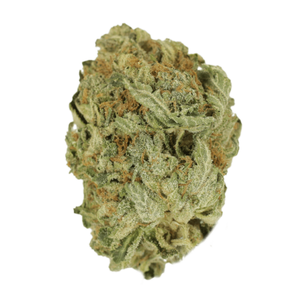 Ghost Bubba | Herbarium Canada