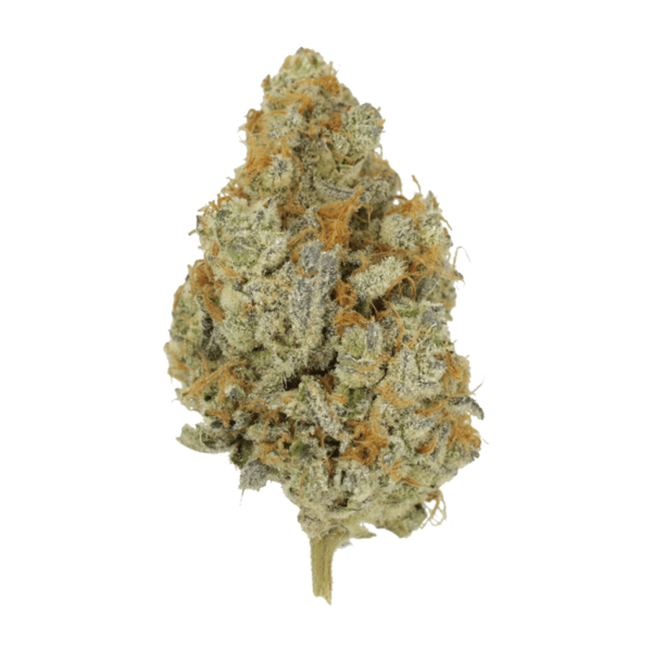 Peanut Butter Rockstar | Herbarium Canada