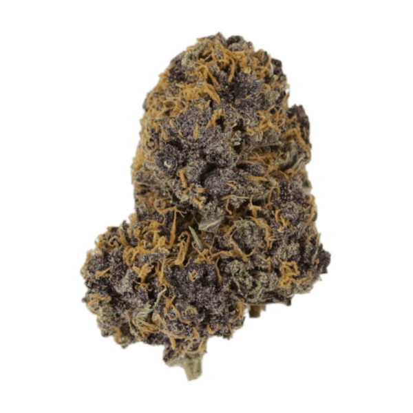 Huckleberry Soda | Herbarium Canada