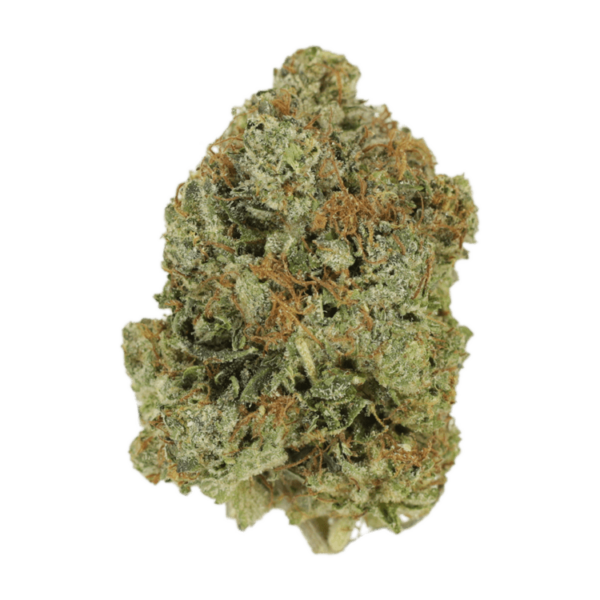 Jack Herer (popcorn) | Herbarium Canada