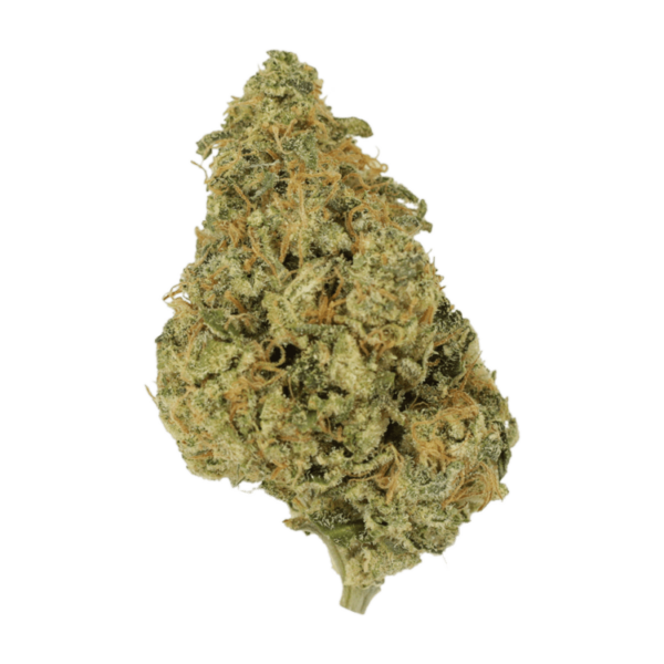 OG Lemon Haze | Herbarium Canada
