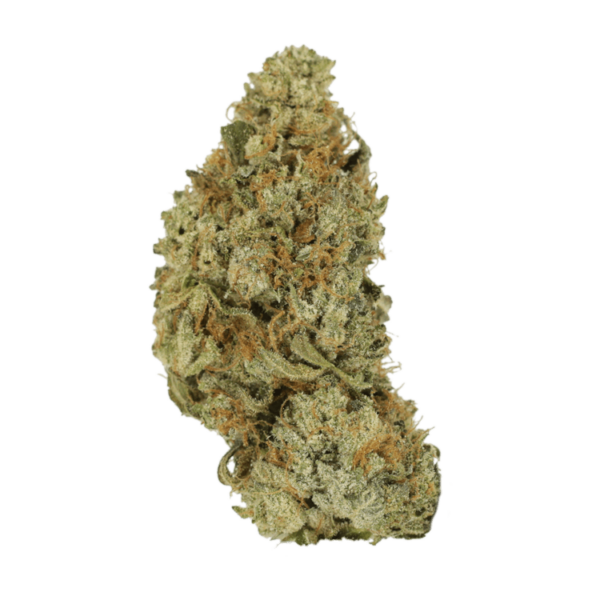 Pink Hawaiian | Herbarium Canada