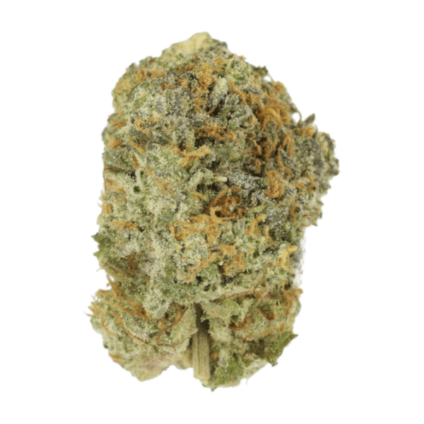 Strawberry Shortcake | Herbarium Canada