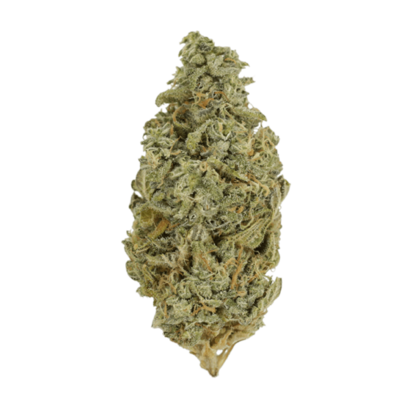 Orange Cookies | Herbarium Canada