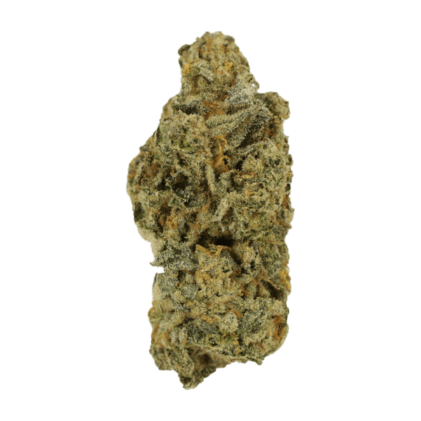 Cinderella 99 | Herbarium Canada