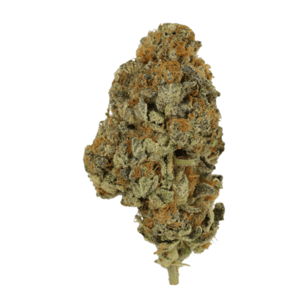 Key Lime Pie | Herbarium Canada