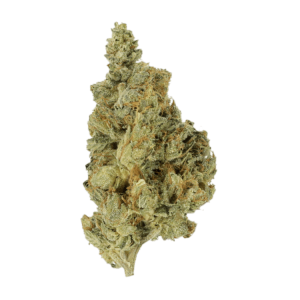 Berry Pie | Herbarium Canada