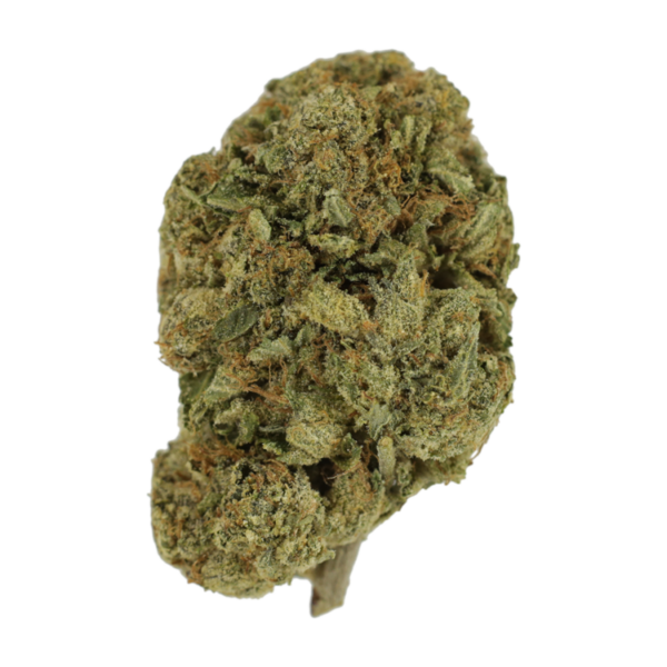 Grape Ape (AAA) | Herbarium Canada