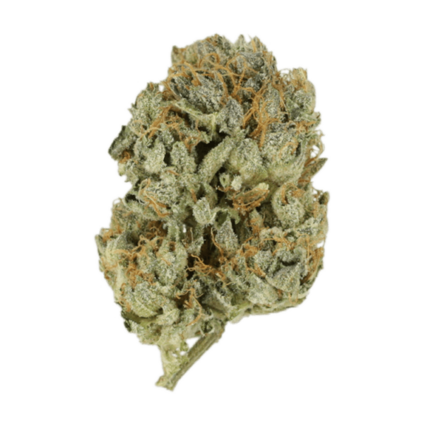 Kashmir Kush | Herbarium Canada